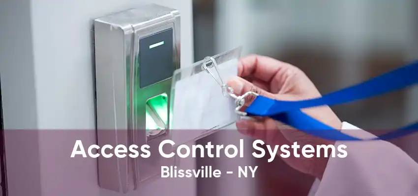 Access Control Systems Blissville - NY