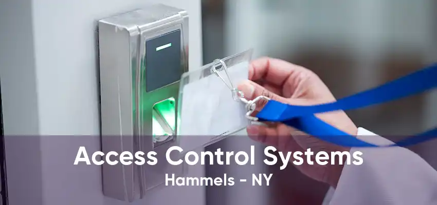 Access Control Systems Hammels - NY