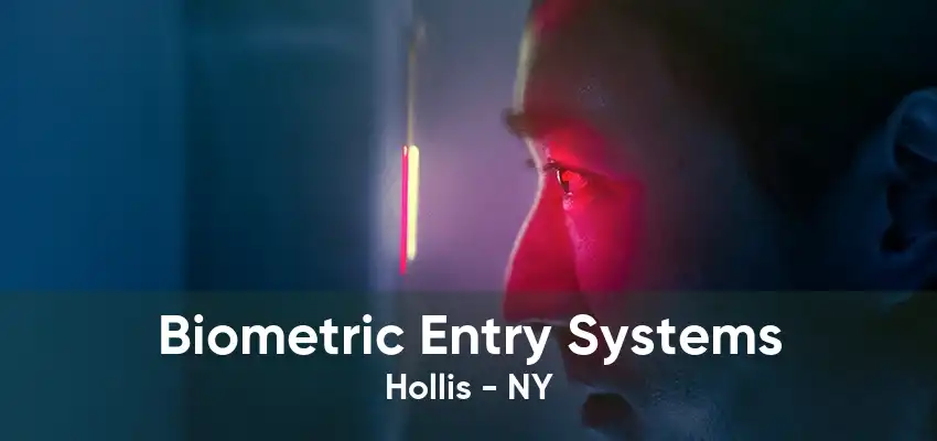 Biometric Entry Systems Hollis - NY