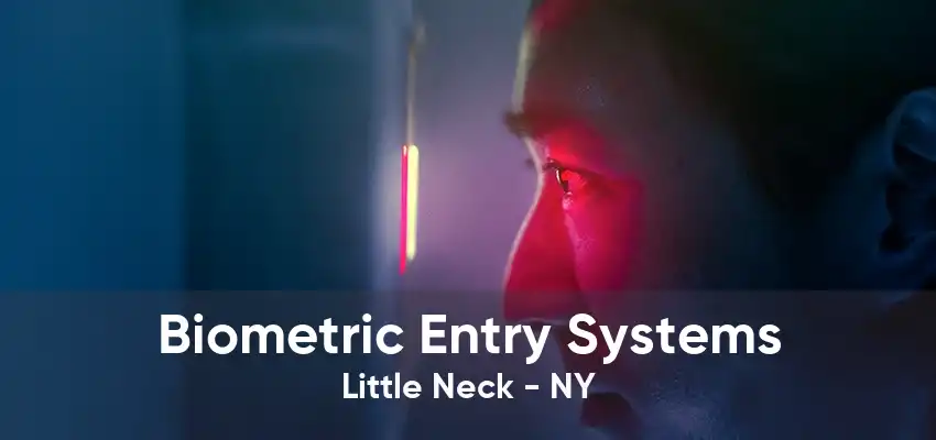 Biometric Entry Systems Little Neck - NY