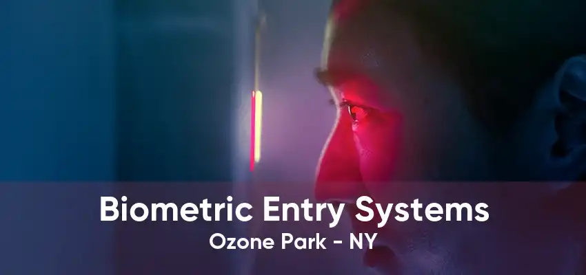 Biometric Entry Systems Ozone Park - NY