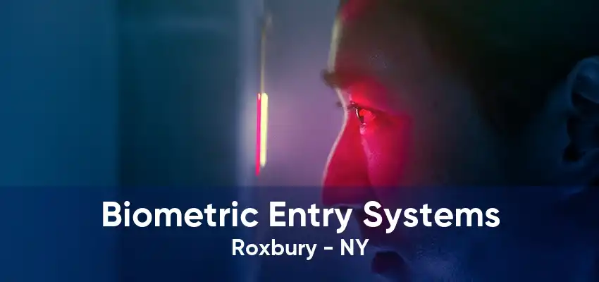 Biometric Entry Systems Roxbury - NY