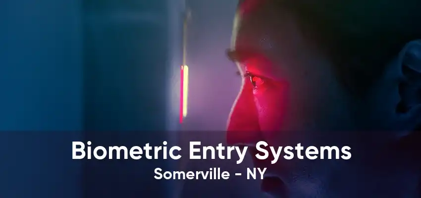 Biometric Entry Systems Somerville - NY