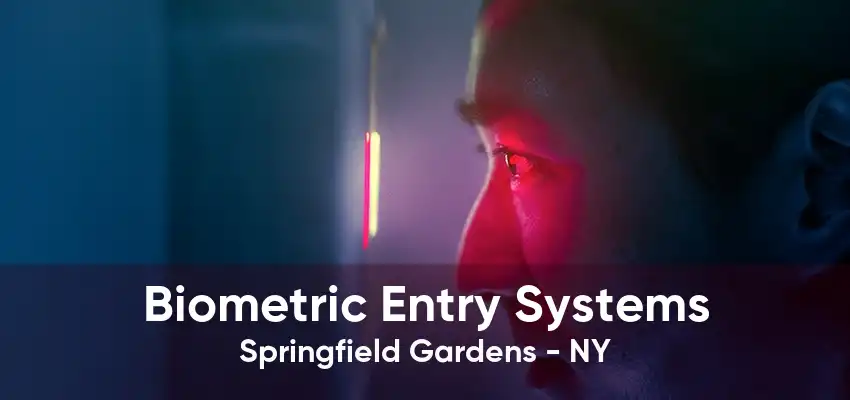 Biometric Entry Systems Springfield Gardens - NY