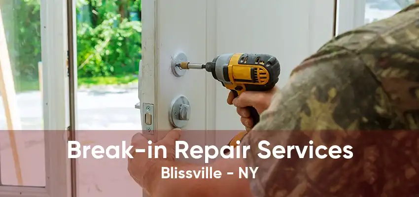 Break-in Repair Services Blissville - NY