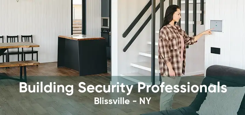 Building Security Professionals Blissville - NY