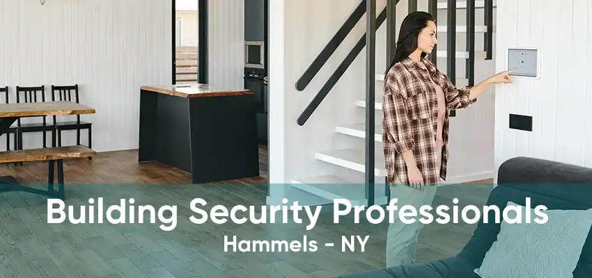 Building Security Professionals Hammels - NY