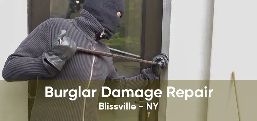 Burglar Damage Repair Blissville - NY