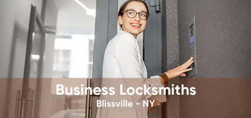 Business Locksmiths Blissville - NY