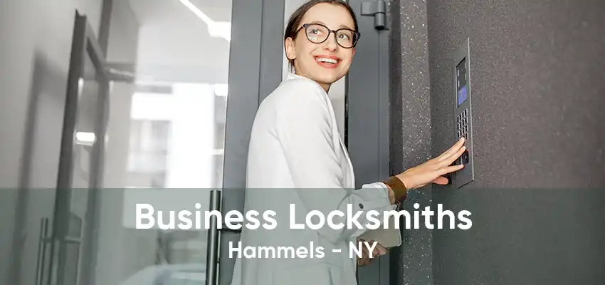 Business Locksmiths Hammels - NY