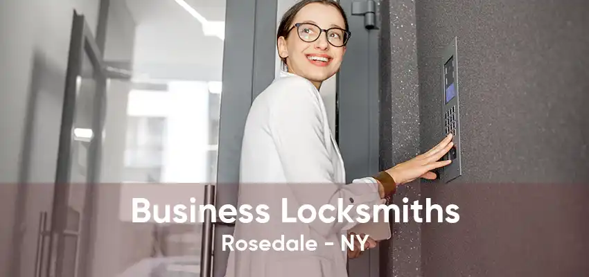 Business Locksmiths Rosedale - NY