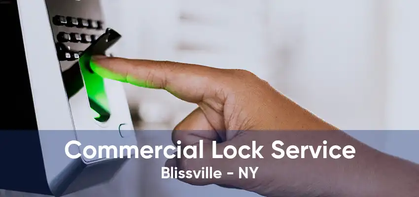 Commercial Lock Service Blissville - NY