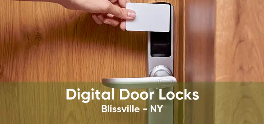 Digital Door Locks Blissville - NY