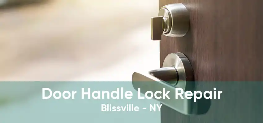 Door Handle Lock Repair Blissville - NY