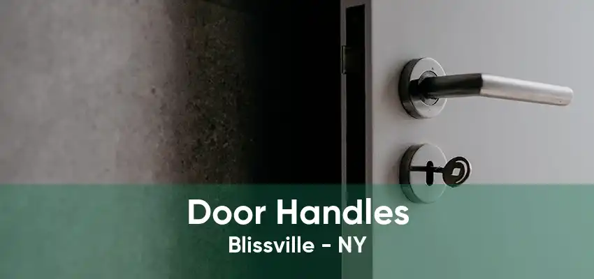 Door Handles Blissville - NY