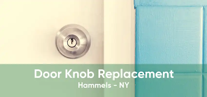 Door Knob Replacement Hammels - NY