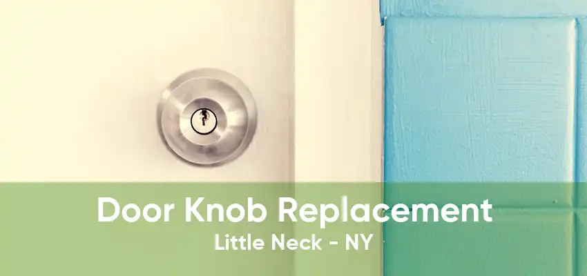 Door Knob Replacement Little Neck - NY