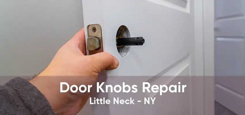 Door Knobs Repair Little Neck - NY