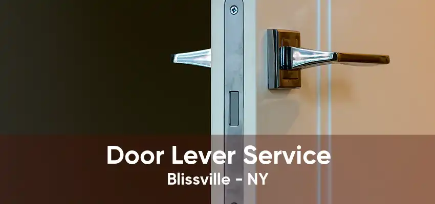 Door Lever Service Blissville - NY