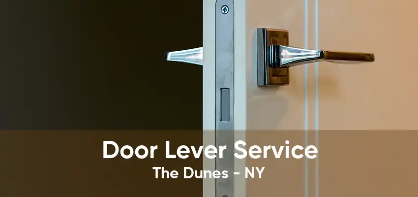 Door Lever Service The Dunes - NY