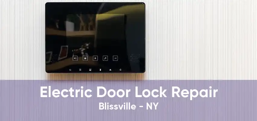 Electric Door Lock Repair Blissville - NY