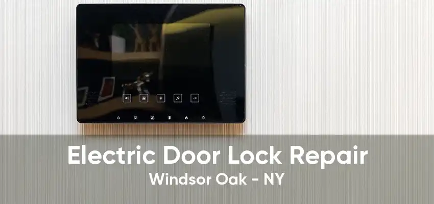 Electric Door Lock Repair Windsor Oak - NY