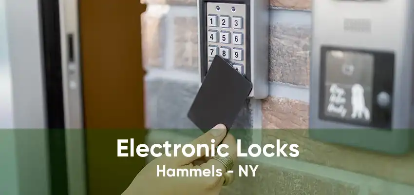 Electronic Locks Hammels - NY