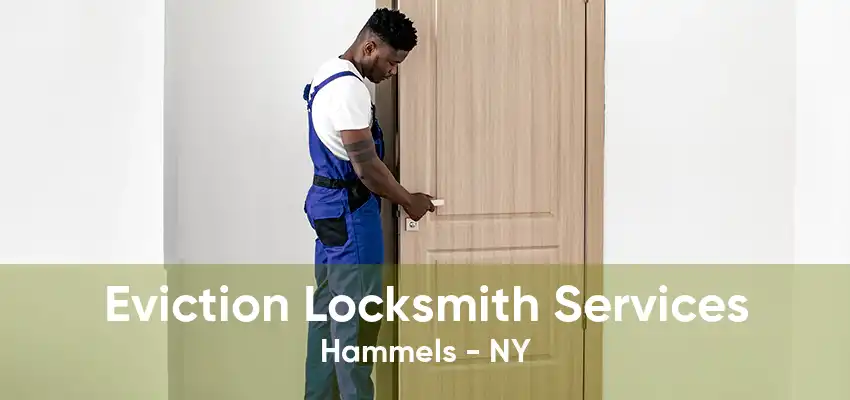 Eviction Locksmith Services Hammels - NY