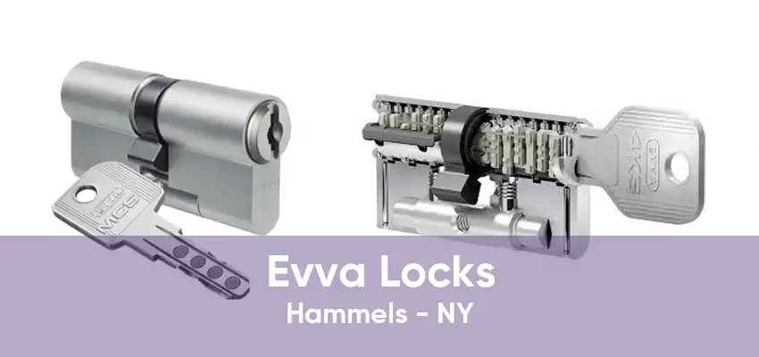 Evva Locks Hammels - NY