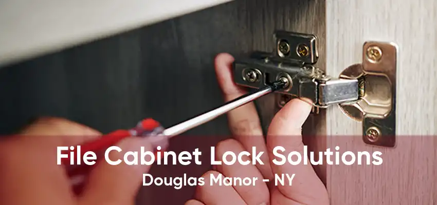 File Cabinet Lock Solutions Douglas Manor - NY