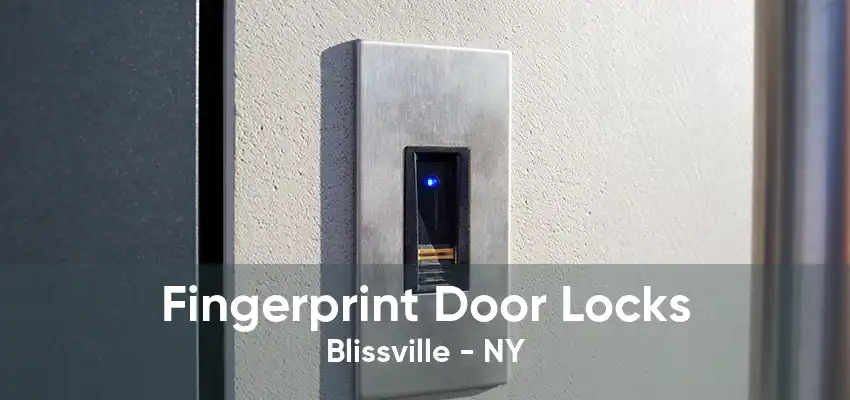 Fingerprint Door Locks Blissville - NY