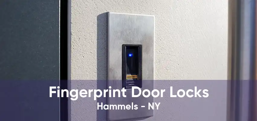 Fingerprint Door Locks Hammels - NY