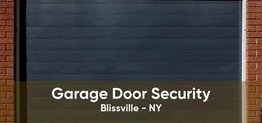 Garage Door Security Blissville - NY