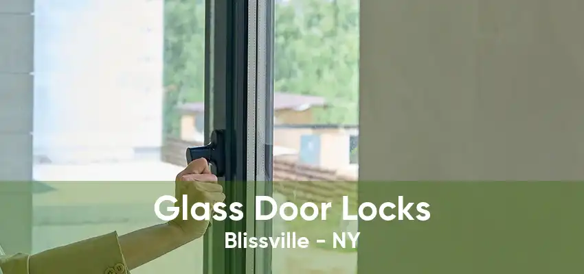 Glass Door Locks Blissville - NY