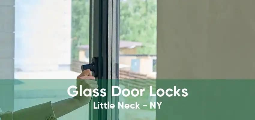 Glass Door Locks Little Neck - NY