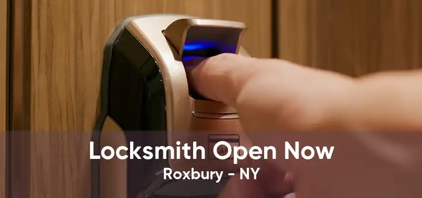 Locksmith Open Now Roxbury - NY