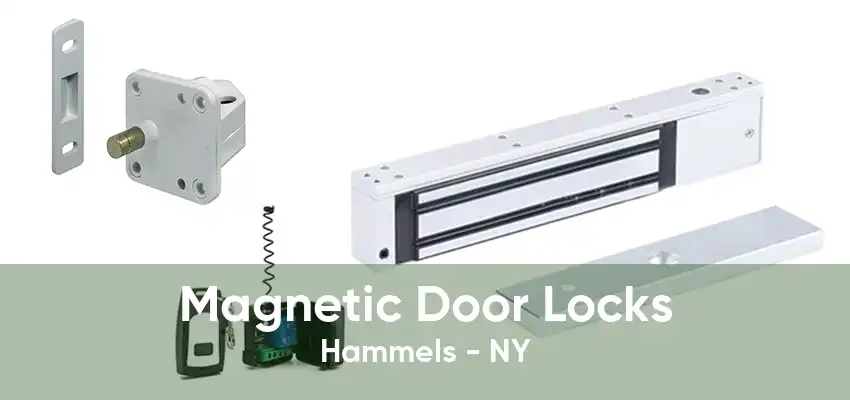 Magnetic Door Locks Hammels - NY