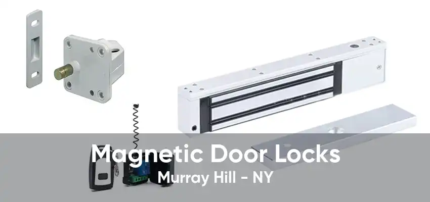 Magnetic Door Locks Murray Hill - NY