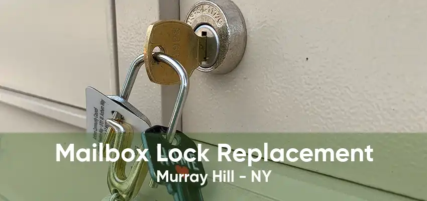 Mailbox Lock Replacement Murray Hill - NY