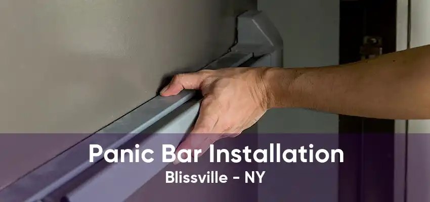 Panic Bar Installation Blissville - NY