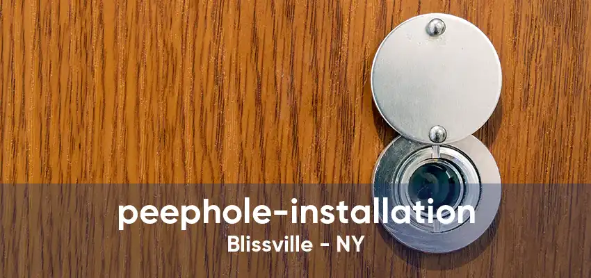 peephole-installation Blissville - NY