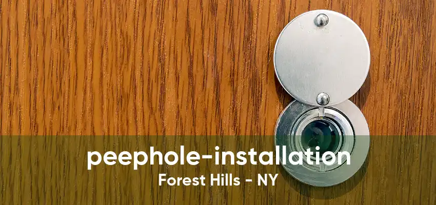 peephole-installation Forest Hills - NY