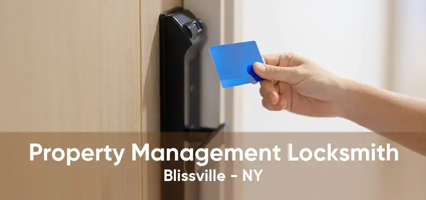 Property Management Locksmith Blissville - NY