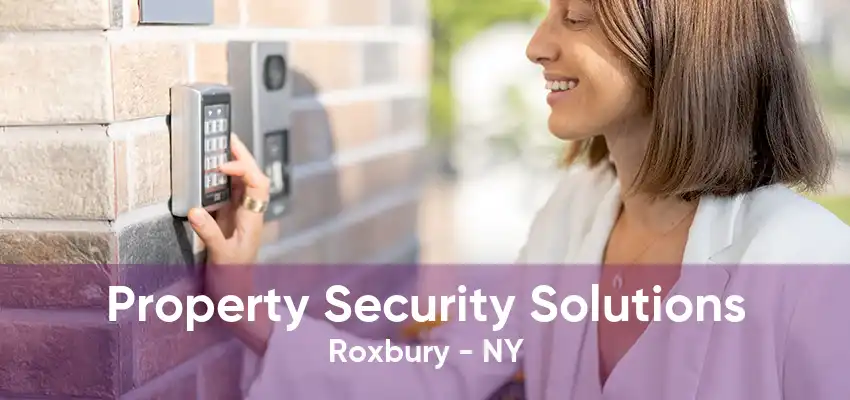 Property Security Solutions Roxbury - NY