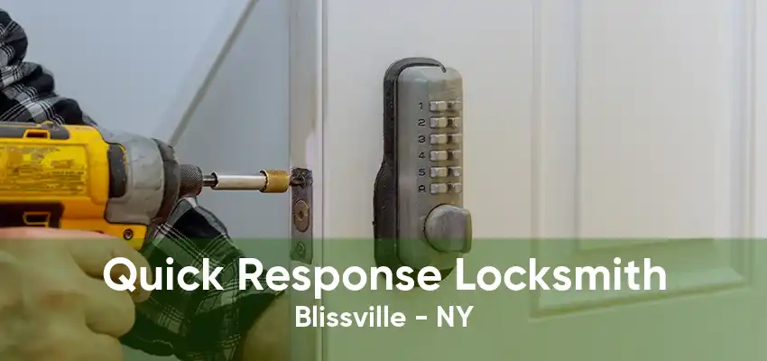 Quick Response Locksmith Blissville - NY