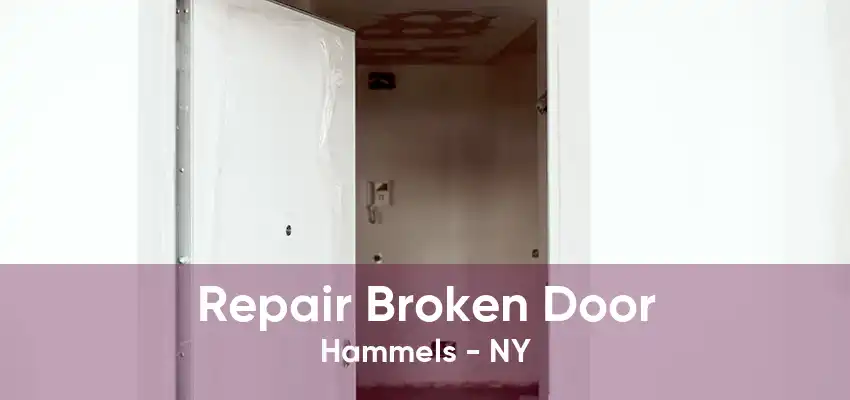 Repair Broken Door Hammels - NY