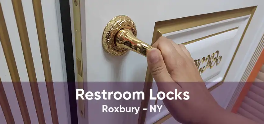 Restroom Locks Roxbury - NY