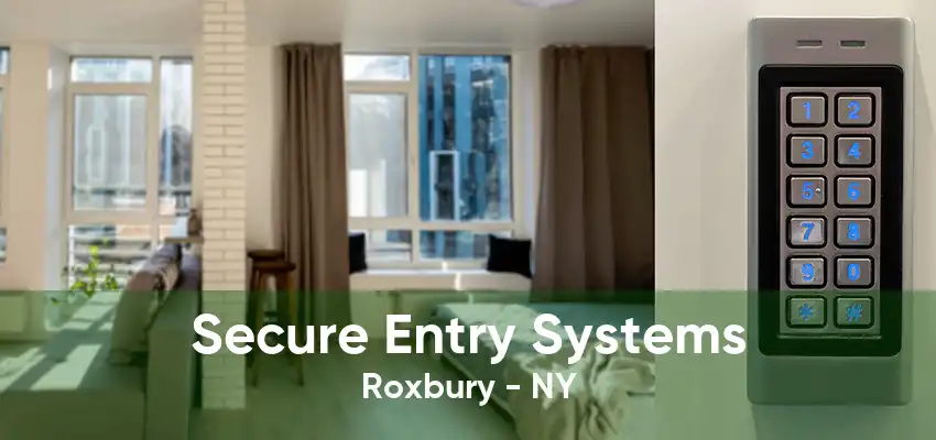 Secure Entry Systems Roxbury - NY