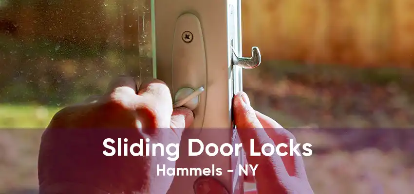 Sliding Door Locks Hammels - NY