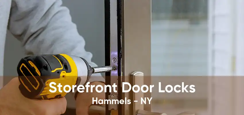 Storefront Door Locks Hammels - NY